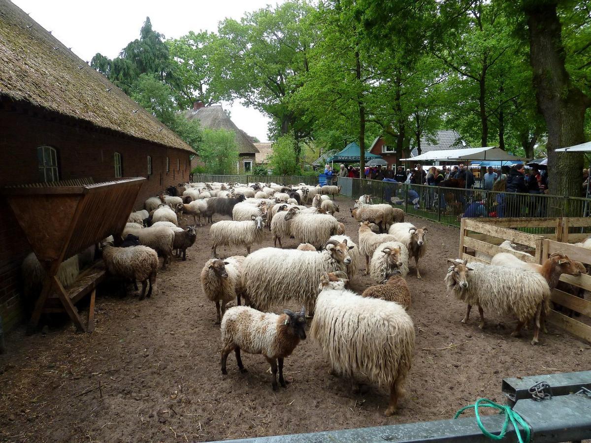 Wapen Van Exloo Kültér fotó